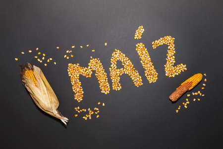 Concept of the word corn in spanish language formed with dry corn seeds on black background and decorated with golden corn cobs and dry corn seedsの写真素材