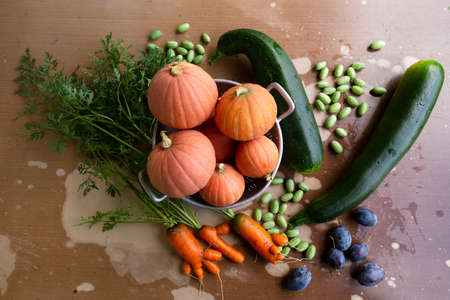 Close-up of freshly harvested organic pumpkins, zucchinis, carrots, pickles and plums on a table...