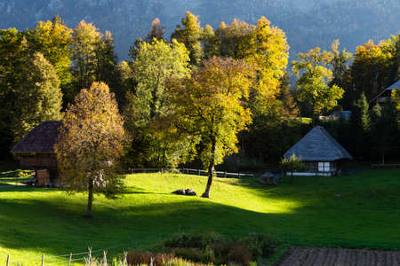 Switzerland, Brienzwiler. Tranquil autumn scenery in the open air museum Ballenberg. Picture taken on 13th of October 2018のeditorial素材