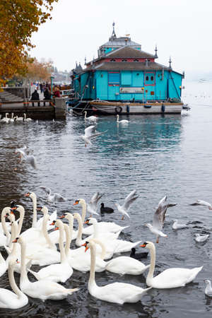 Switzerland, Zurich. The Herzbaracke cabaret-theatre on a watercraft on lake Zurich. Herzbaracke in Swiss German language means either heart barracks or heart attack. Picture taken on 4th of November 2018のeditorial素材