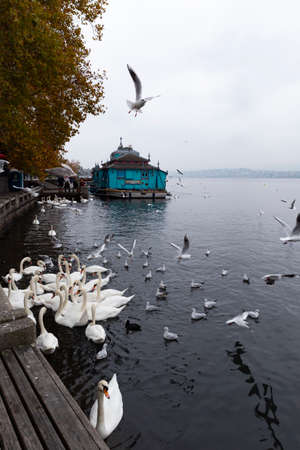 Switzerland, Zurich. The Herzbaracke cabaret-theatre on a watercraft on lake Zurich. Herzbaracke in Swiss German language means either heart barracks or heart attack. Picture taken on 4th of November 2018のeditorial素材