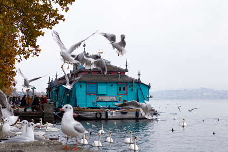 Switzerland, Zurich. The Herzbaracke cabaret-theatre on a watercraft on lake Zurich. Herzbaracke in Swiss German language means either heart barracks or heart attack. Picture taken on 4th of November 2018のeditorial素材