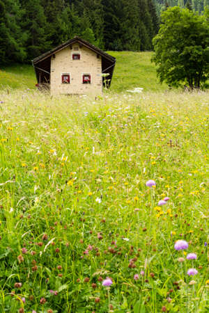 Switzerland, SplÃ¼gen. Front view of a beautiful small stone chalet with red window shutters standing in a lush green meadow surrounded by a forest. Picture taken on 5th of July 18のeditorial素材