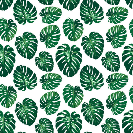 Seamless monstera palm leaves pattern for your summer background. Vector tropical exotic illustrationのイラスト素材