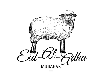 Eid-al-adha greeting card template with hand drawn sheep isolated on white background. Vector illustration for muslim festival of sacrifice designのイラスト素材