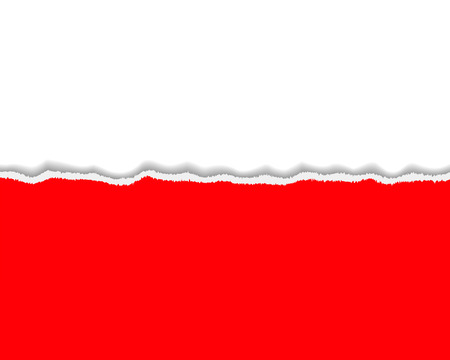 Torn paper Poland flag design. Vector illustrationのイラスト素材