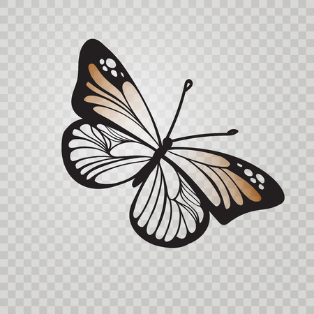 Stylized Monarch Butterfly black line icon isolated on transparent background. Vector illustration for insectのイラスト素材