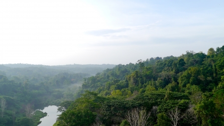 Morning in " Poo keaw" nation park thailand.の写真素材