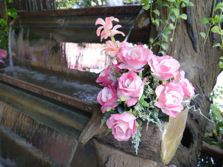 Colorful pink and white roses on the waterfall model.の写真素材