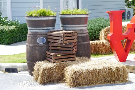 Wine bucket with straw sunlight.の写真素材
