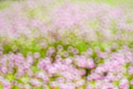 Surprise colorful bokeh art of many flowers.の写真素材