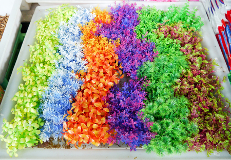 Colorful furniture water plants for fish tank.の写真素材