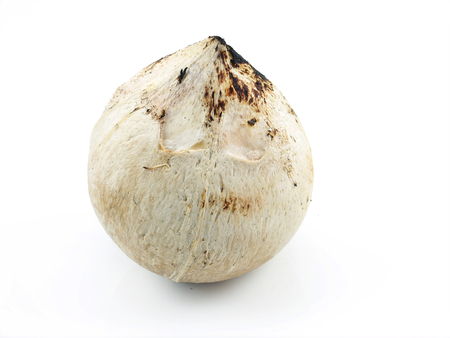 Burn coconut thai food isolate.の写真素材