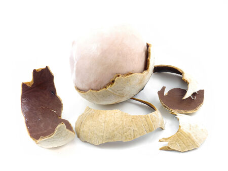 Burn coconut thai food isolate.
