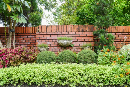 Flower pot on wallの写真素材