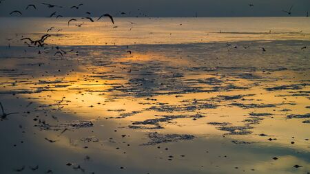 Twilight sea with seagulls flying in Bangpoo Thailand.