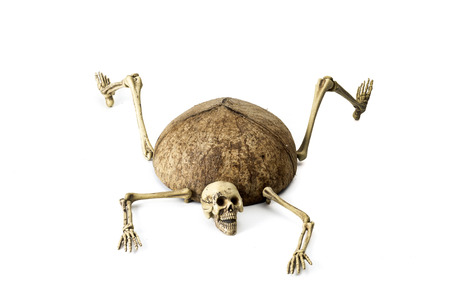 Skeleton ghost resident evil heterogenesis on halloween white background.