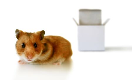 Outside the boxの写真素材