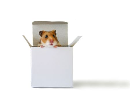 Inside the boxの写真素材