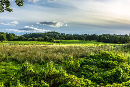 Landscape at Niehuus Lake