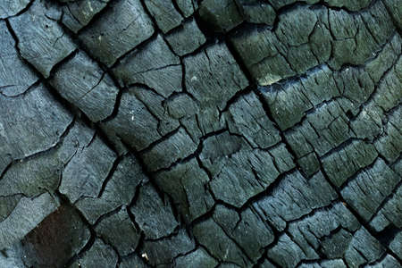 Burnt old wood texture. Details on the surface of charcoal. Old wood Dark background texture