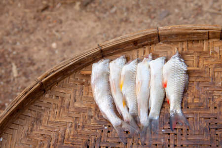 Dried Fish on bamboo basket used in Asian cuisine.Traditional salted fish drying.の写真素材
