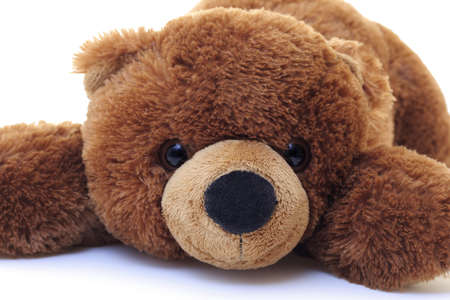Teddy bearの写真素材