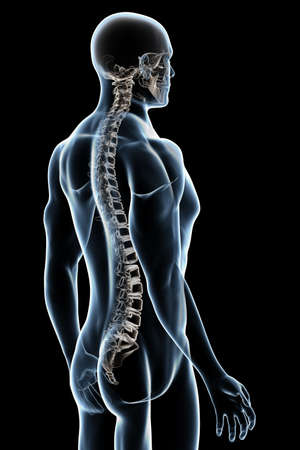 X-ray male anatomy over a black backgroundの写真素材