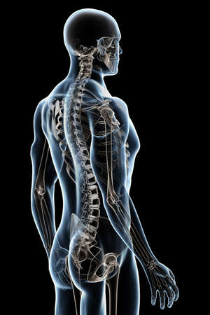 X-ray male anatomy over a black backgroundの写真素材