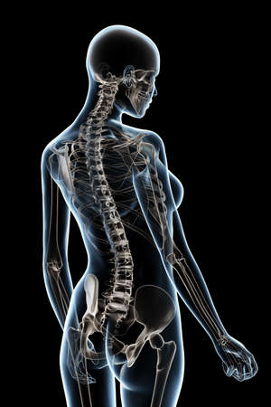 X-ray female anatomy over a black backgroundの写真素材