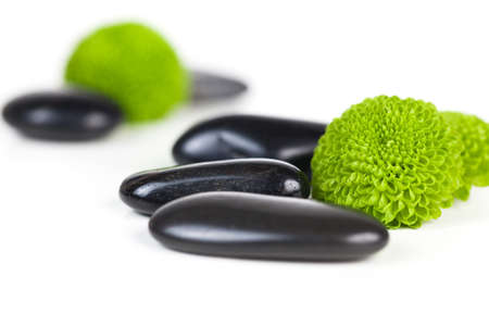 Green flowers with black stones isolated on whiteの写真素材