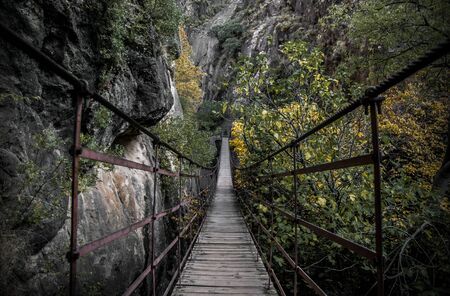 other sideの写真素材