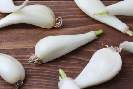 raw bulbs of Japanese leek Chinese onion isolated on wooden tableの写真素材