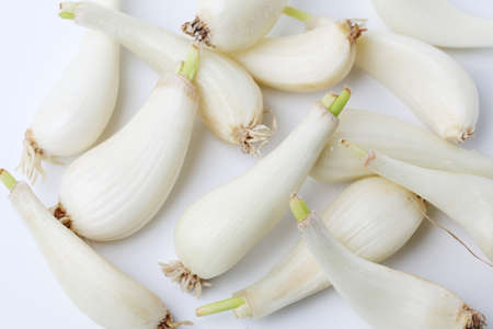 raw bulbs of Japanese leek Chinese onion isolated on white background