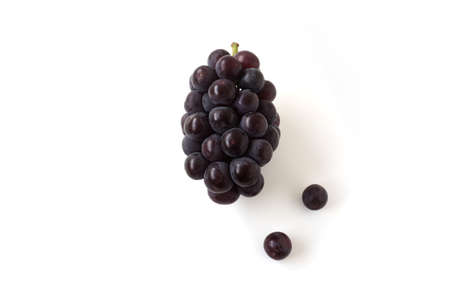 fresh bunch of grapes isolated on white backgroundの写真素材