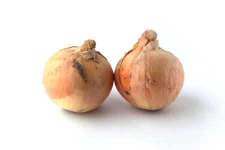 raw onions isolated on white backgroundの写真素材