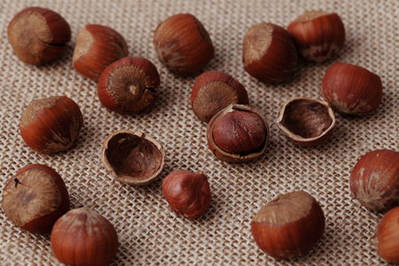 heap of hazelnuts on hemp bagの写真素材