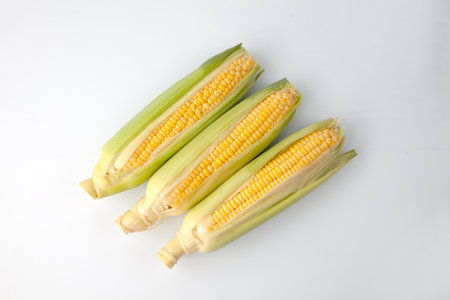 raw corn maize cob closeup isolated on white background