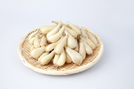 raw bulbs of Japanese leek Chinese onion isolated on white backgroundの写真素材