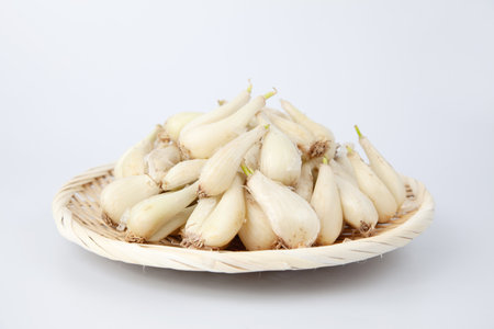 raw bulbs of Japanese leek Chinese onion isolated on white backgroundの写真素材