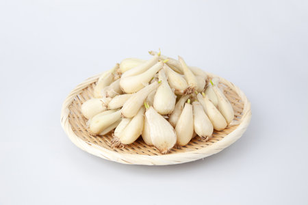 raw bulbs of Japanese leek Chinese onion isolated on white backgroundの写真素材
