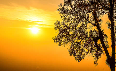 Morning sunの写真素材