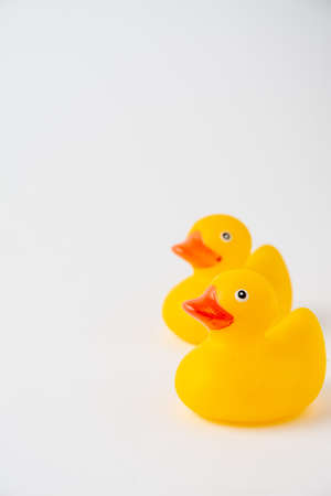 Top view of two yellow ducklings for bathing, selective focus, on white background, vertical, with copy spaceの写真素材