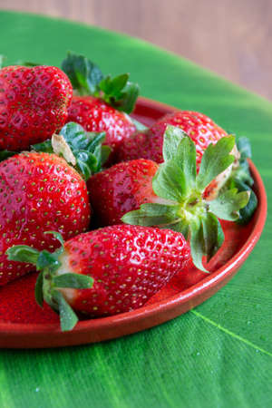 View of red plate with strawberries, on green background and wooden table, in vertical, with copy spaceの写真素材