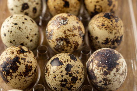 Top view of quail eggs in transparent plastic egg cup, selective focus, on wooden table, horizontalの写真素材