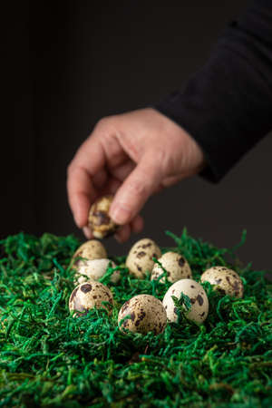 Close-up of quail eggs on green grass, with defocused woman's hand, black background, vertical