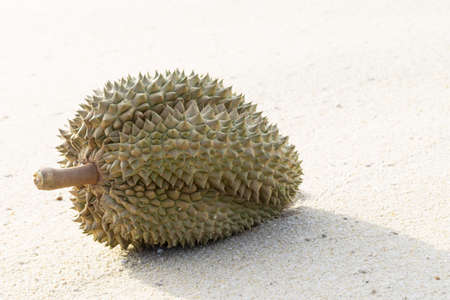 Durian on beach sand