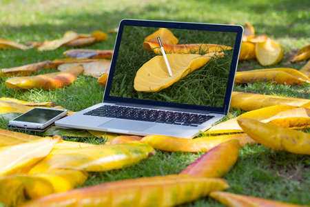 Working in park and relax.の写真素材