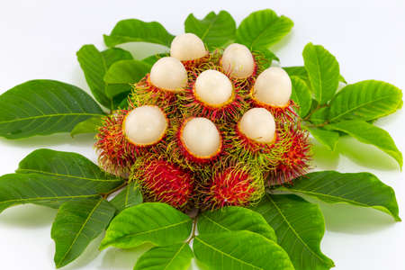 close up rambutan on white.の写真素材