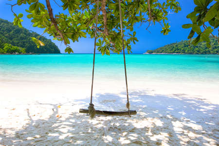 Swing on Tropical beach.の写真素材